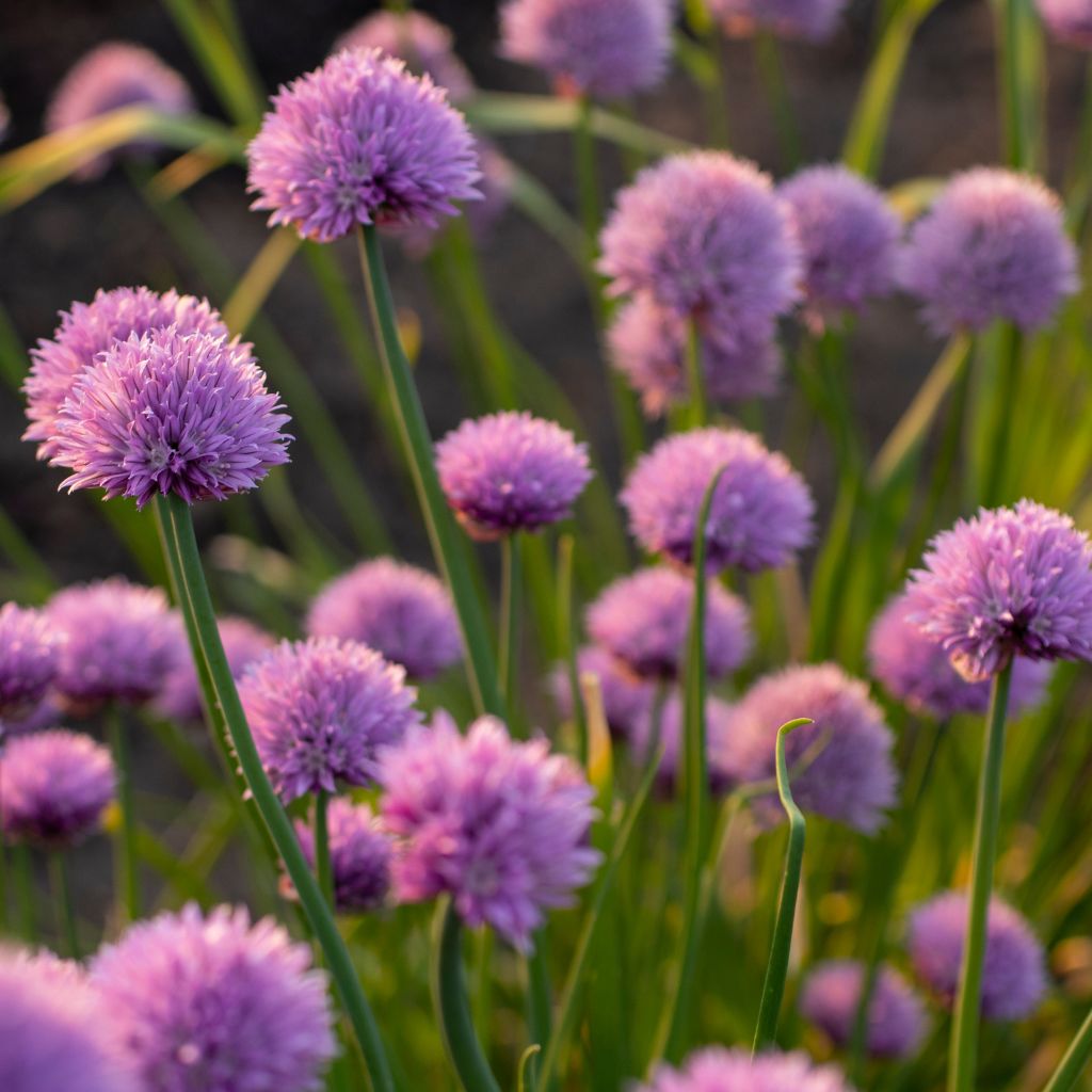 Návrh bez názvu (30)